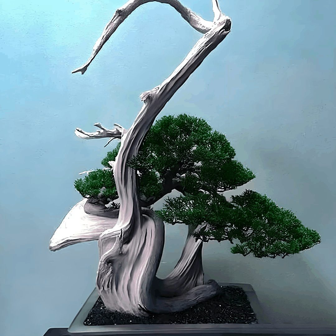 盆景教学